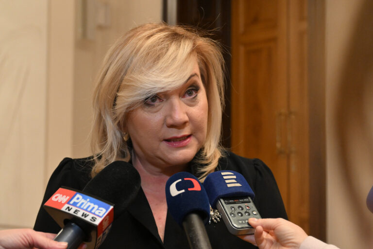 ANO kritizuje využití vládní rozpočtové rezervy na zvýšené výdaje na POZE