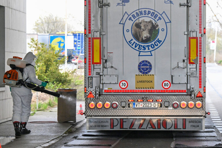 Výborný: Středoevropské státy vyzvou EK ke společnému postupu proti slintavce