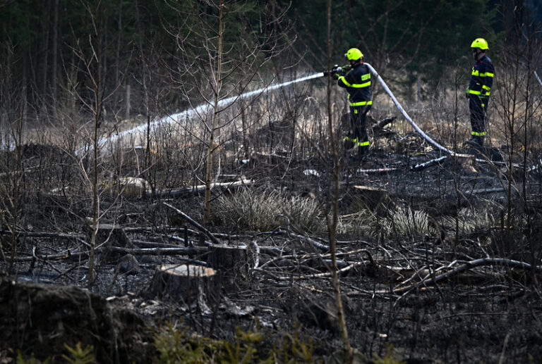 Kvůli suchu a větru je ve velké části Česka zvýšené riziko vzniku požárů