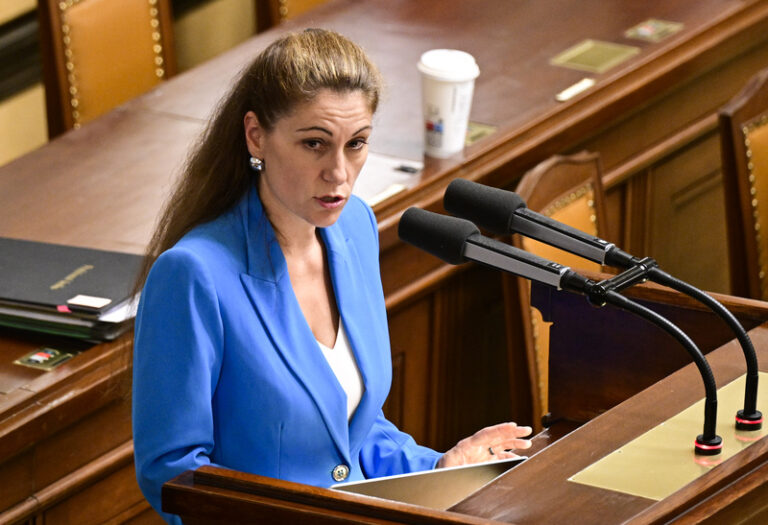 Decroix a Schillerová mají e-mail, podle něhož mohl vědět o bitcoinech i Dvořák