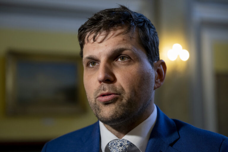 Hladík: Česko nemá sílu prosadit odklad nebo zrušení nových emisních povolenek