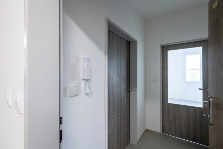 Studenti si letos za pronájem bytu nebo spolubydlení opět připlatí