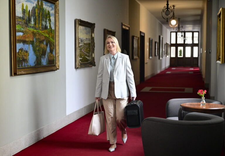 Obranyschopnost ČR se zlepšila, stav ale stále není optimální, uvádí zpráva