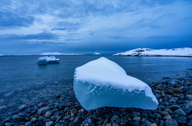 NATO pravděpodobně brzy zahájí misi Arctic Sentry, píše Reuters