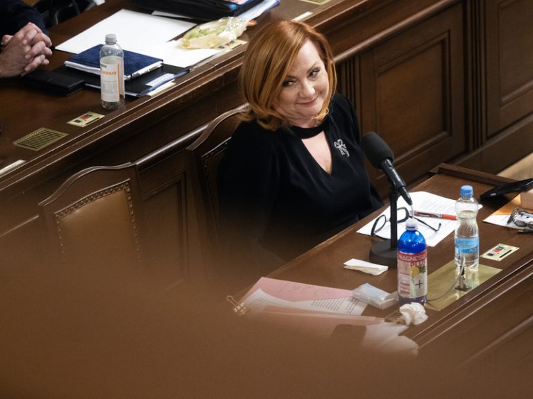 Analytici: Schválení rozpočtu uvolní ruce vládě u výdajů, schodek je vysoký