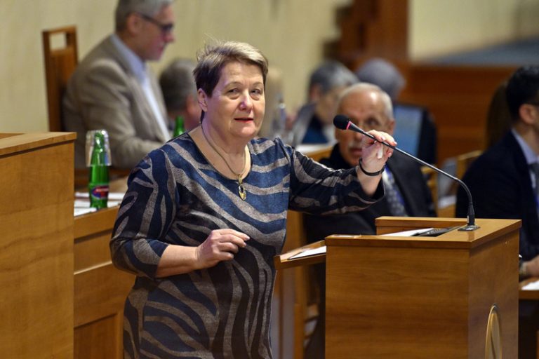 Nového ombudsmana dnes poslanci v prvním volebním kole nevybrali