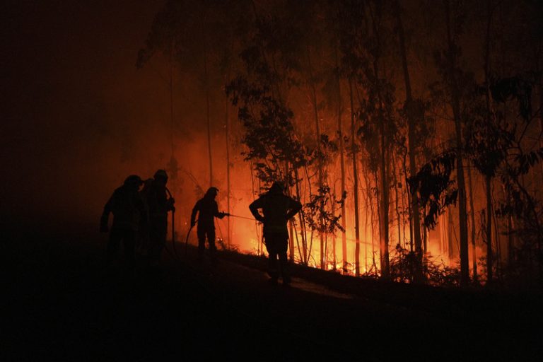 Nejméně 12 lidí zahynulo při lesním požáru na jihu Španělska