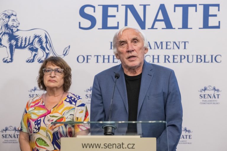 Koordinaci lidskoprávních agend zajistí rady vlády, řekl Tejc v Senátu
