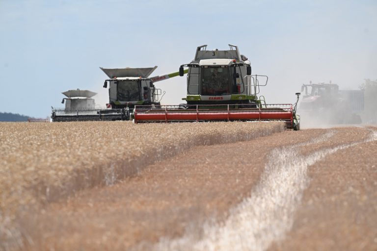 Komora: Produkce obilovin klesne na 6,3 mil. tun, řepky na 773.000 tun