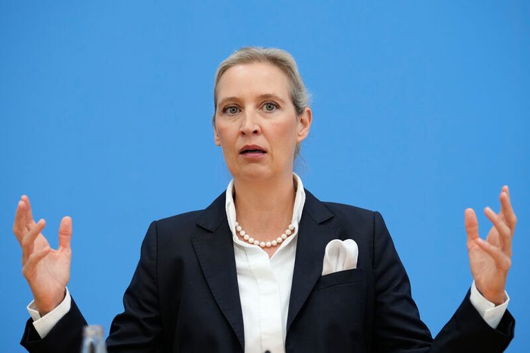 AfD podle předsedů zaznamenala gigantické vítězství, Merz podle nich brzy skončí