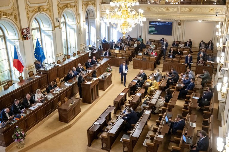 K vyvolávání jednání o nedůvěře vládě podle šéfa SPD není důvod