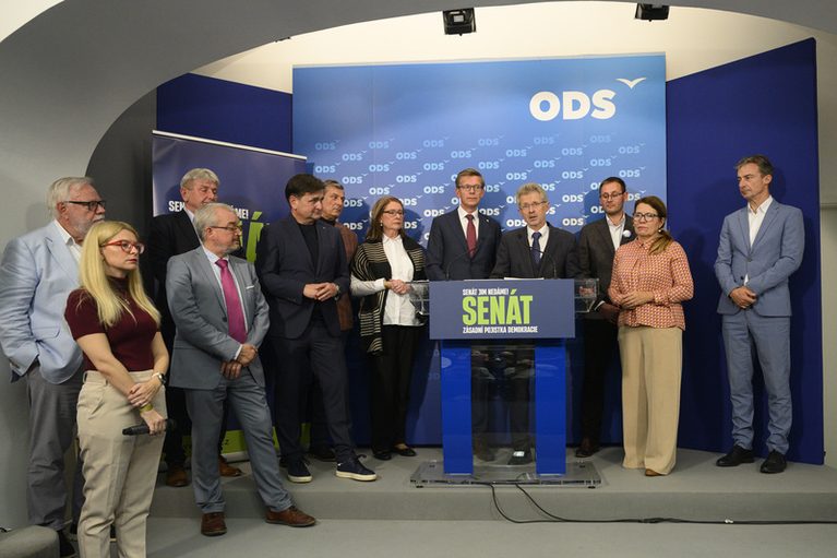 Ekonomickým vítězem senátních voleb se stala ODS